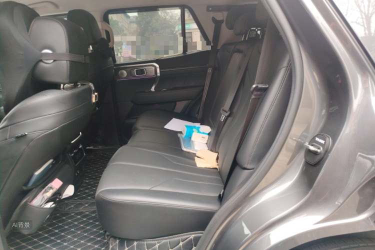 Tank 400 New Energy 2024 car image #19