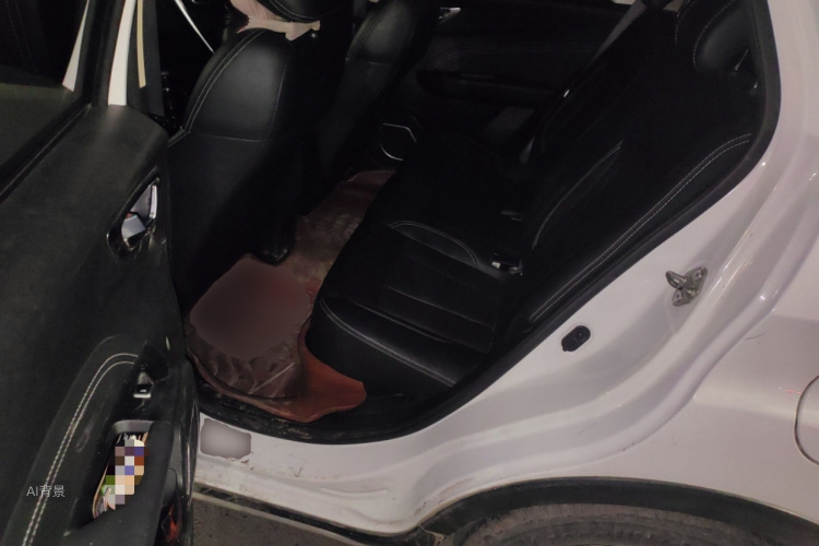 Vision X3 2019 car image #19