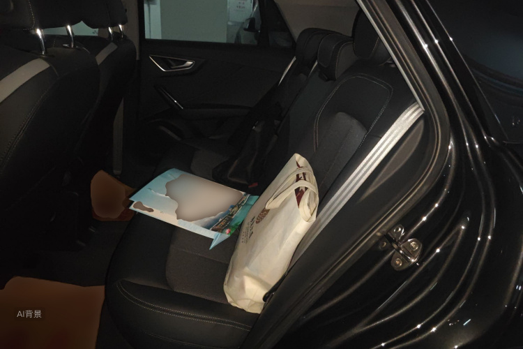 奥迪Q2L e-tron 2020 汽车图片 #19