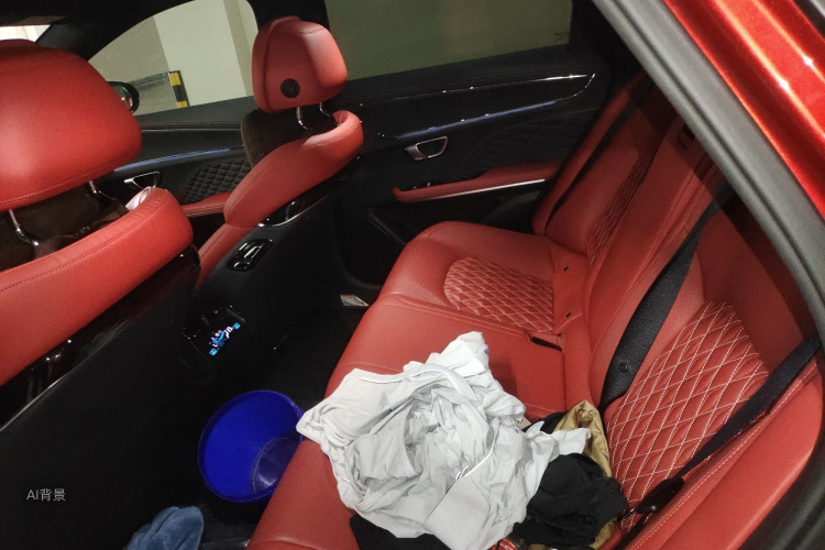 BYD Han 2020 صورة سيارة #19