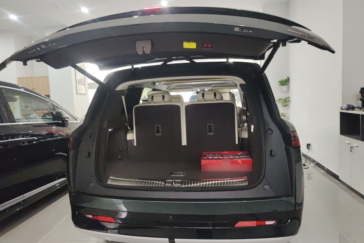 Denza N9 2025 immagine di auto #19