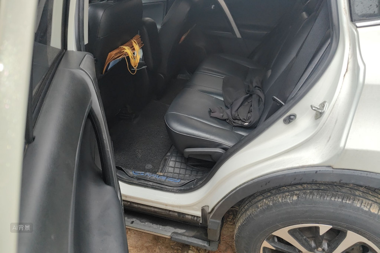 Toyota RAV4 2018 car image #19