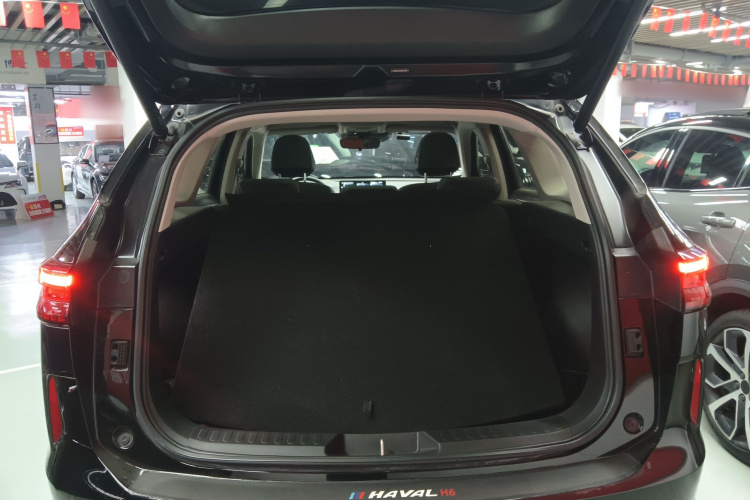 Haval H6 2022 car image #19