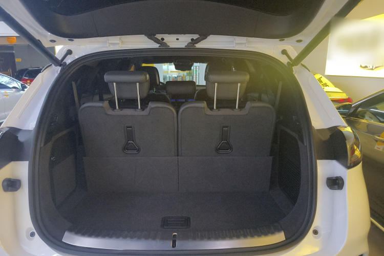 Denza X 2021 car image #19