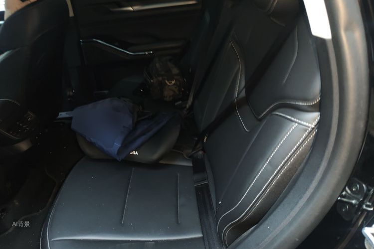Haval H6 2021 car image #19