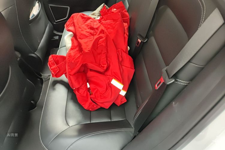 GEELY Emgrand GS 2018 car image #19