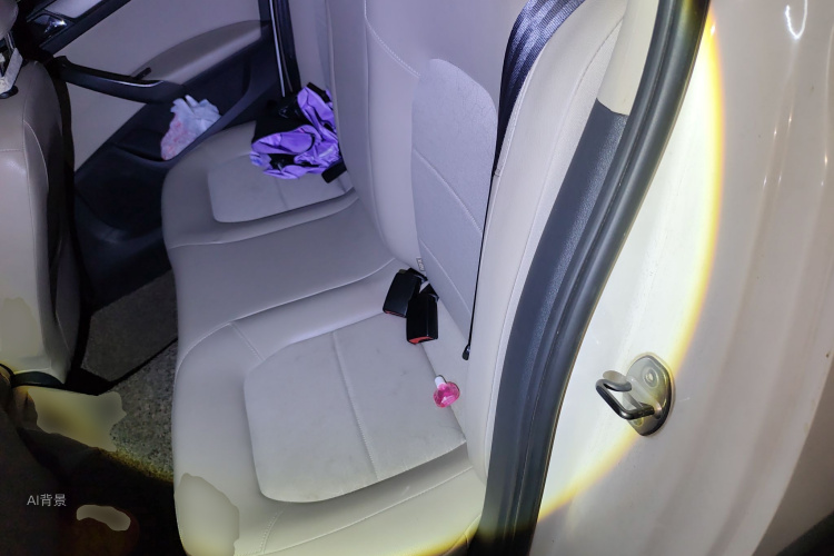 桑塔纳 2014 汽车图片 #19