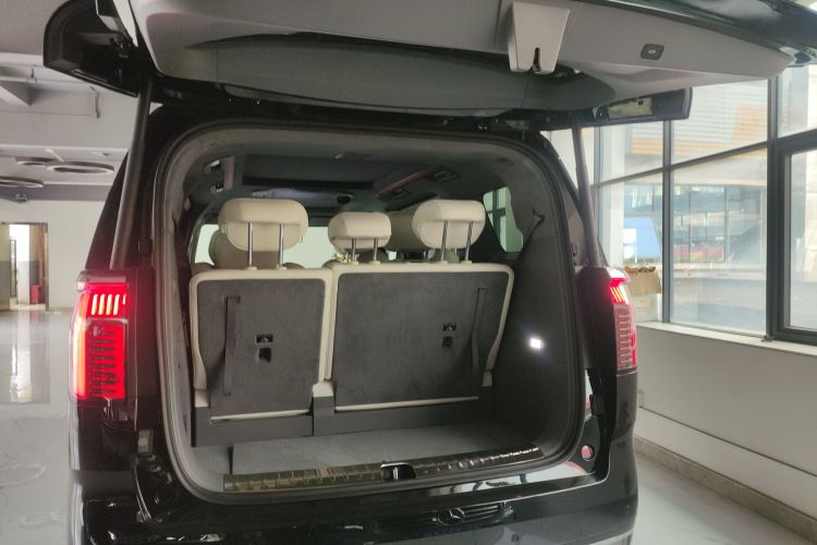 极氪 极氪009 2025 汽车图片 #19