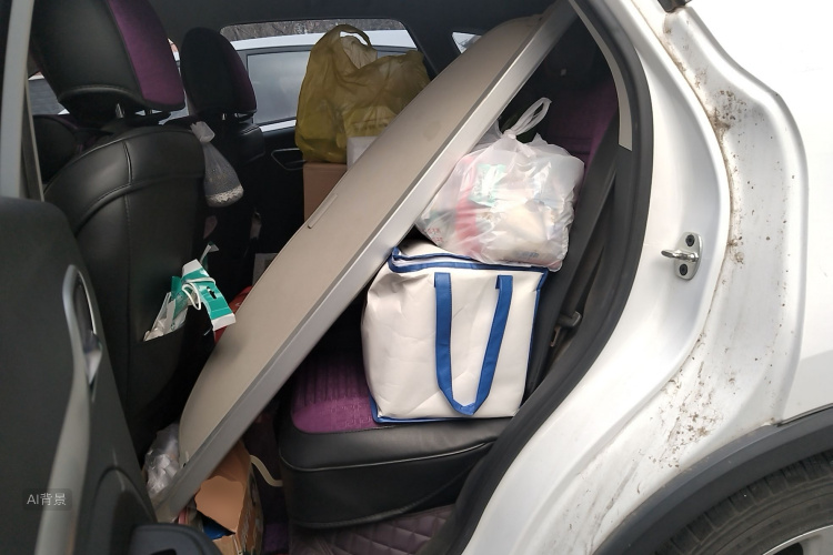 MG ZS 2020 image de voiture #19