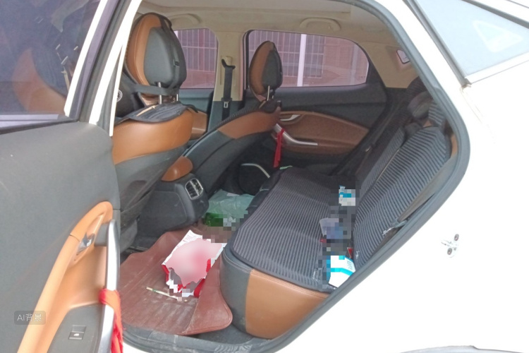 Soueast DX7 2016 car image #19