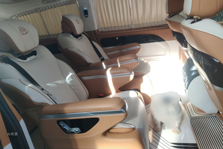 Mercedes-Benz Vito 2022 car image #19