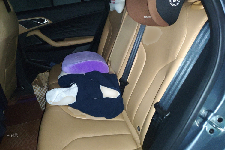 Roewe RX5 New Energy 2022 изображение автомобиля #19