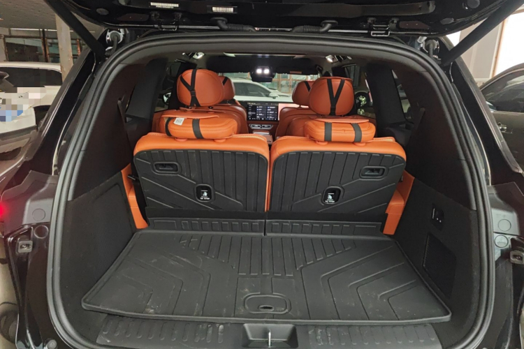 Deepal S09 2025 car image #19