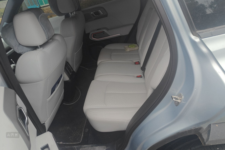 FangChengBao Tiger 3 2025 car image #19