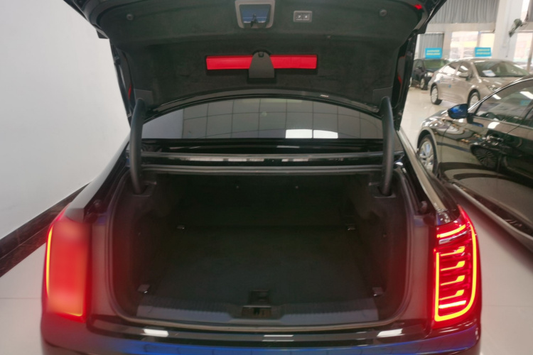 HongQi H9 2020 car image #19