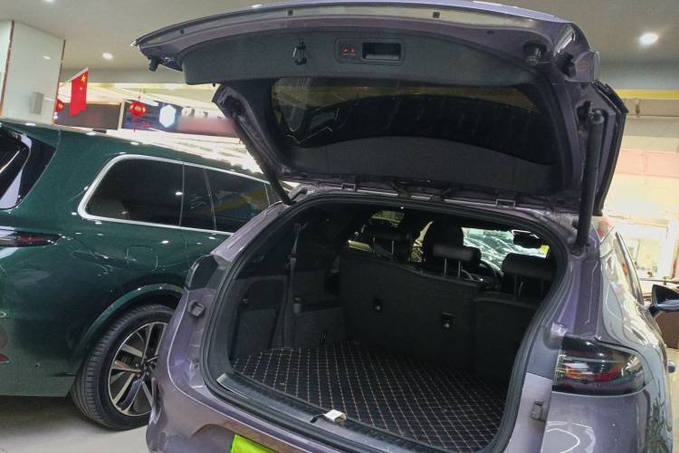 Denza X 2021 изображение автомобиля #19