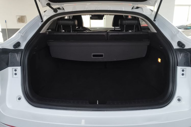 Haval F7x 2020 car image #19