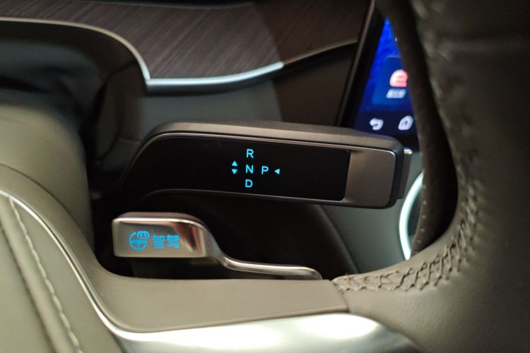 Denza N9 2025 car image #19