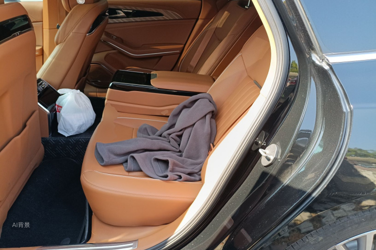 HongQi H9 2023 immagine di auto #19