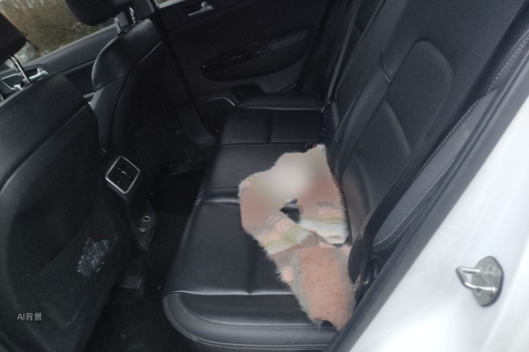 起亚 起亚KX5 2017 汽车图片 #19