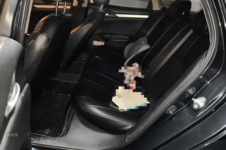 Honda Civic 2017 #19 Honda Civic 2017 car image #19