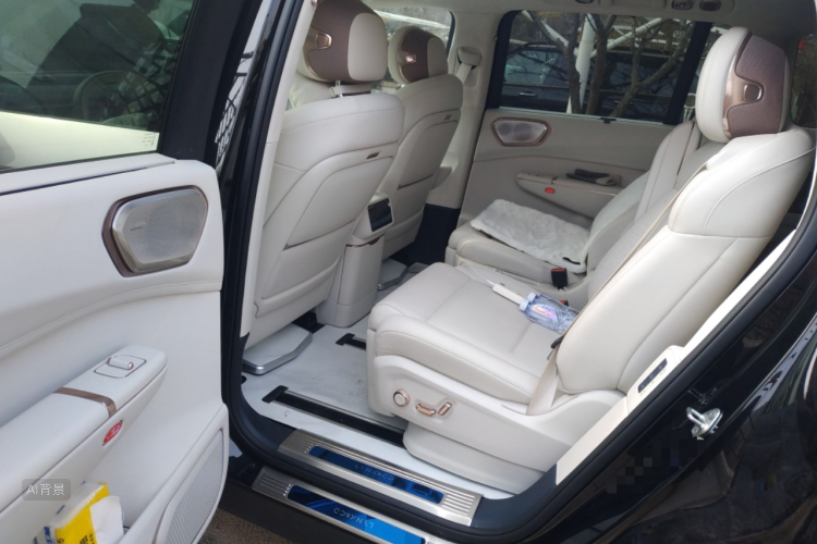 Lynk & Co 900 2025 car image #19