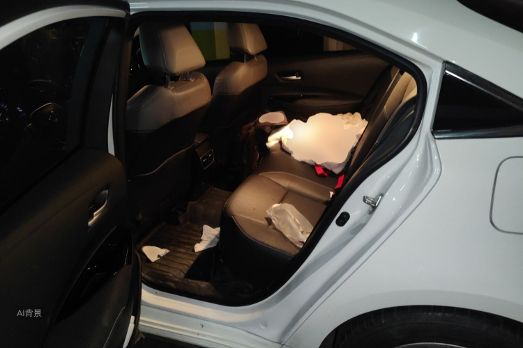 Toyota Allion 2021 immagine di auto #19