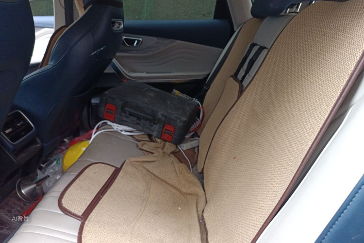 Exceed Chasing Wind C-DM 2023 car image #19