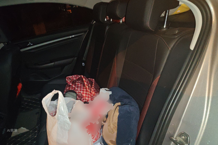 大众 宝来 2019 汽车图片 #19