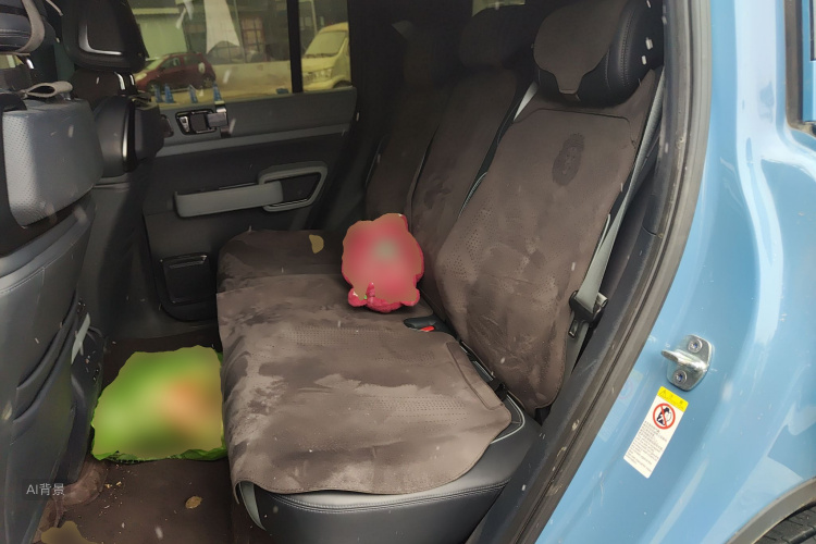 FangChengBao Leopard 5 2023 car image #19