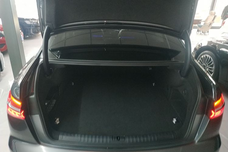 Audi A6L New Energy 2020 car image #19