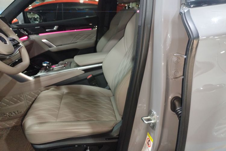 BYD Tang New Energy 2025 car image #19