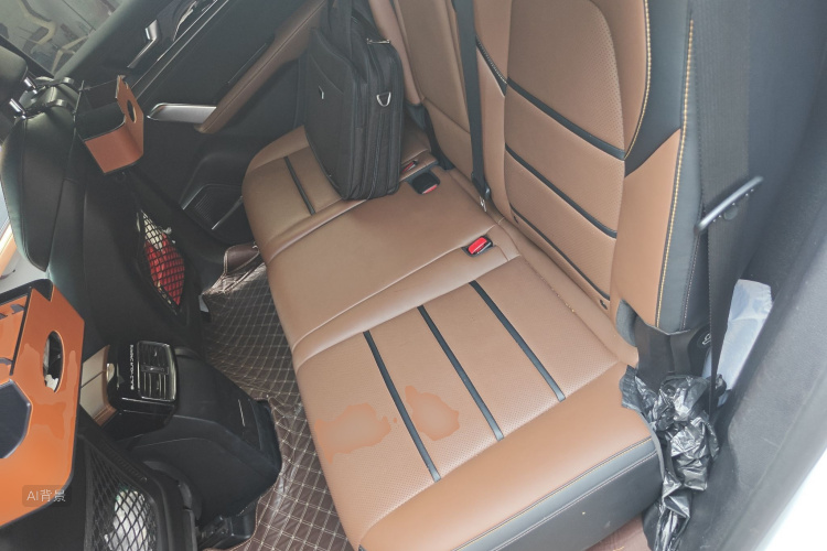 BYD Tang New Energy 2021 car image #19