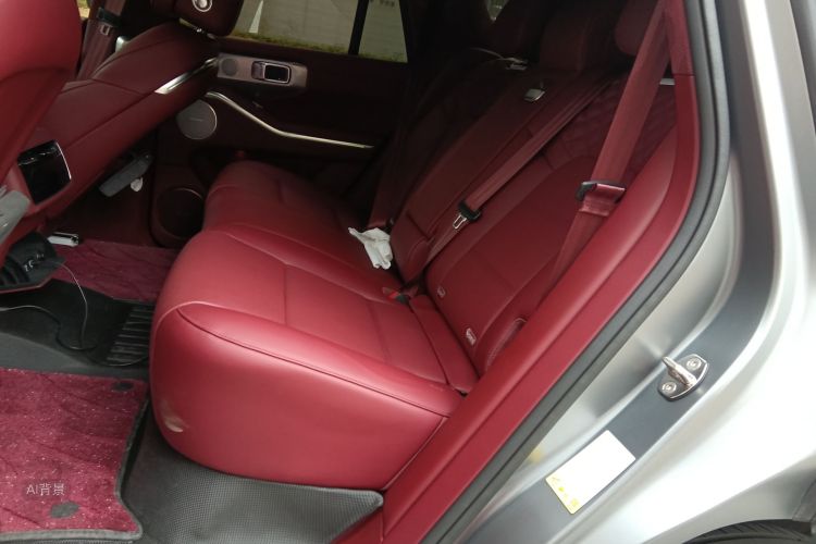 Tank 700 New Energy 2024 car image #19