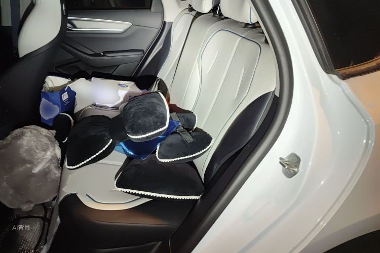 BYD Destroyer 05 2024 car image #19