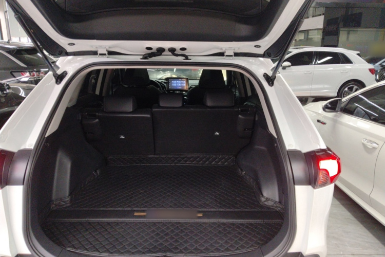 Toyota RAV4 2023 car image #19
