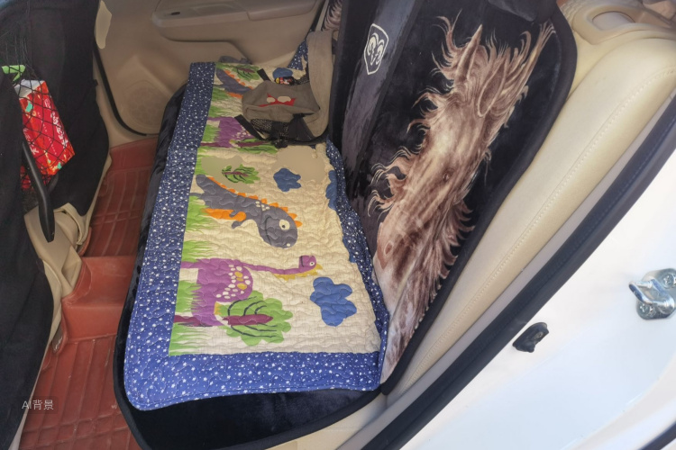 Suzuki Ciaz 2016 car image #19