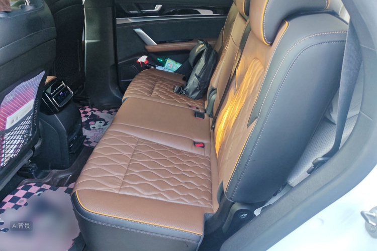 BYD Tang New Energy 2020 car image #19