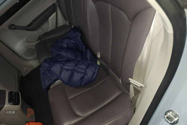 零跑汽车 零跑C11 2023 汽车图片 #19