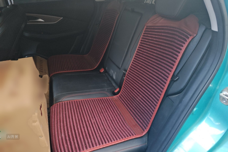 T5 EVO 2021 car image #19