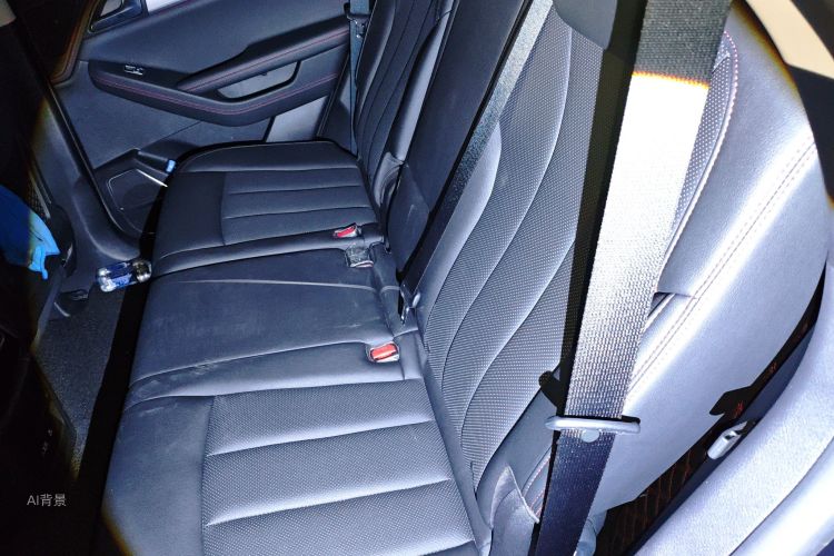 BYD Tang New Energy 2018 car image #19