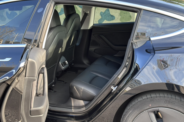 Tesla Model 3 2020 car image #19