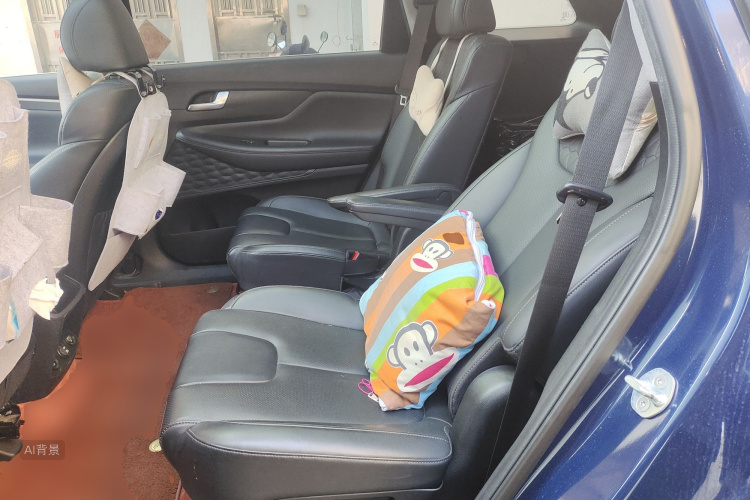 Hyundai Santa Fe 2020 car image #19