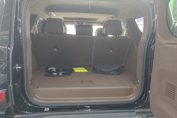 Tank 700 New Energy 2024 immagine di auto #19