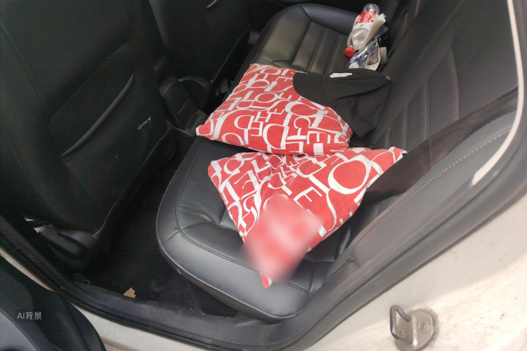 Polo 2015 car image #19