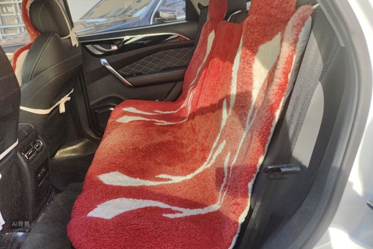 捷途山海 捷途X95 2020 汽车图片 #19