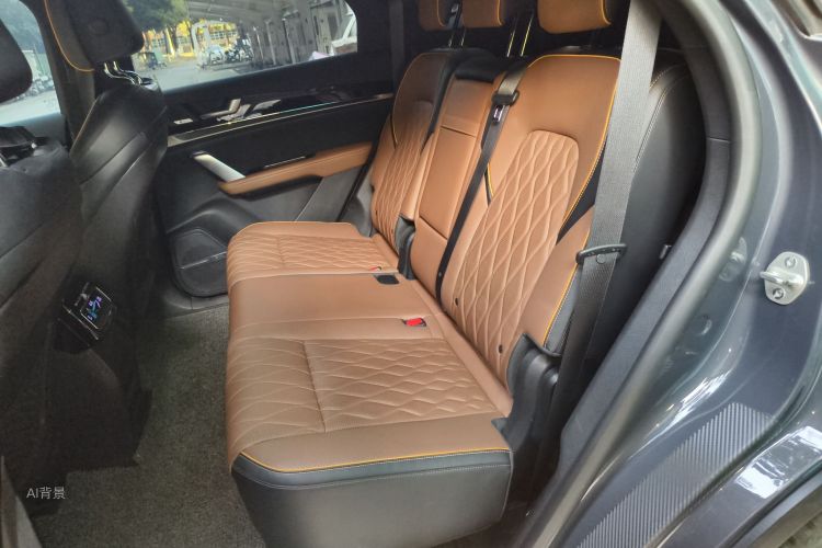 BYD Tang New Energy 2021 car image #19