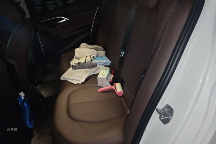 BMW 1 Series 2019 car image #19