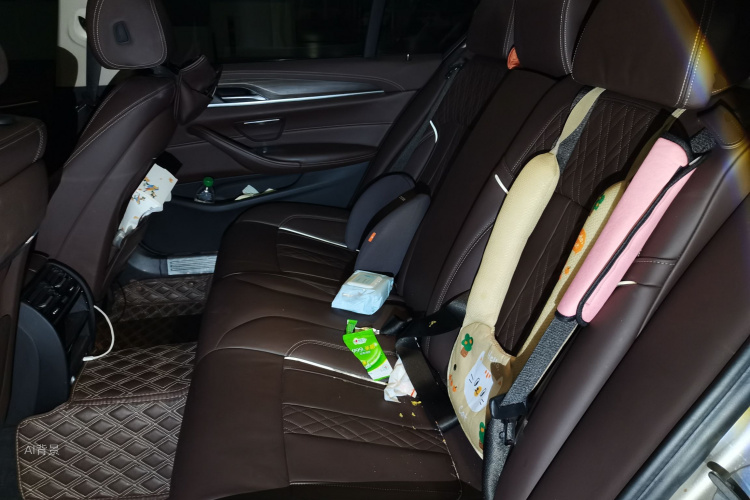 BMW 5 Series New Energy 2020 car image #19