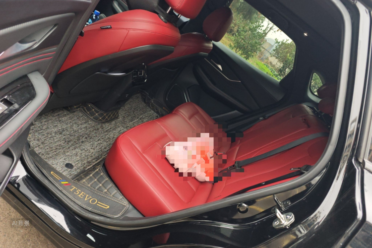 T5 EVO 2021 car image #19